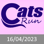Cats Run BH - Eventos